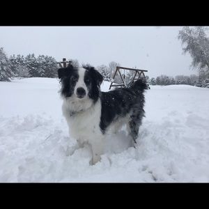 Meet your Posher, Jennifer